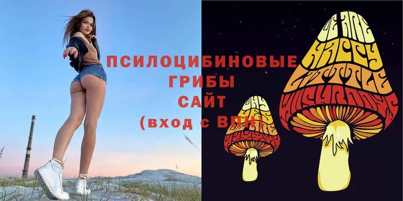 Псилоцибиновые грибы Cubensis  Черкесск 